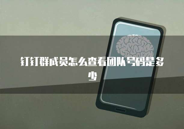 钉钉企业专业版和基础版的区别在哪里?