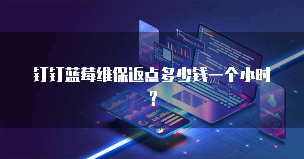 钉钉蓝莓维保返点多少钱一个小时?