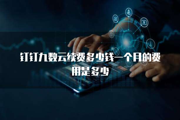 钉钉九数云续费多少钱一个月的费用是多少