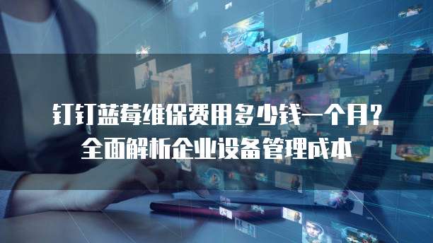 钉钉蓝莓维保费用多少钱一个月?全面解析企业设备管理成本