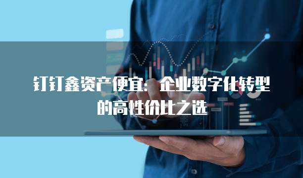 钉钉鑫资产便宜:企业数字化转型的高性价比之选