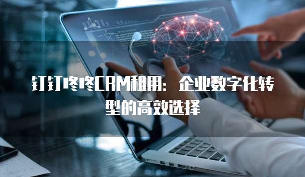 钉钉咚咚CRM租用:企业数字化转型的高效选择