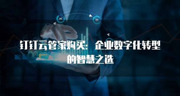 钉钉云管家购买：企业数字化转型的智慧之选