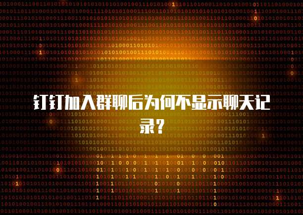 钉钉专业版功能使用方法