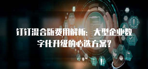 钉钉混合版费用解析:大型企业数字化升级的必选方案?