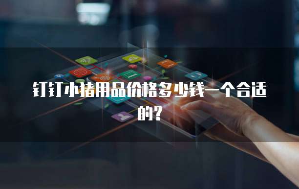 钉钉小猪用品价格多少钱一个合适的?