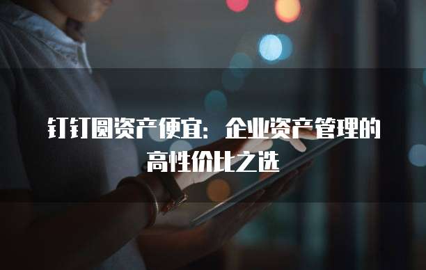 钉钉圆资产便宜:企业资产管理的高性价比之选