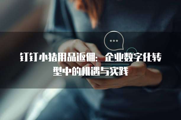 钉钉小猪用品返佣：企业数字化转型中的机遇与实践