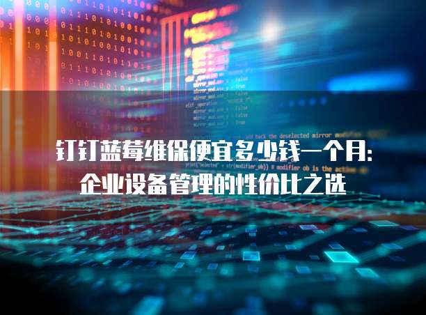 钉钉蓝莓维保便宜多少钱一个月:企业设备管理的性价比之选