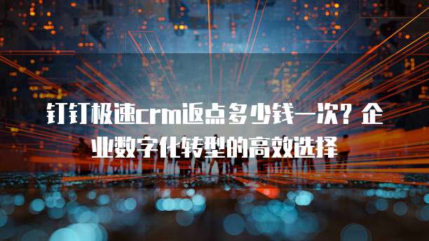 钉钉极速crm返点多少钱一次？企业数字化转型的高效选择