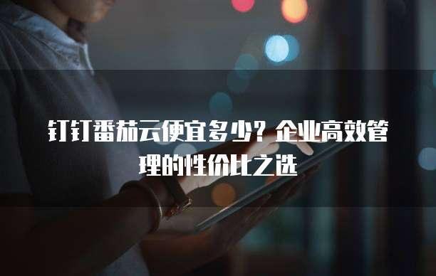 钉钉番茄云便宜多少?企业高效管理的性价比之选