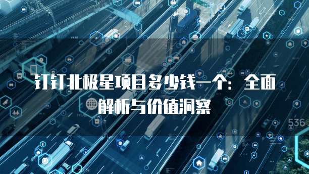 钉钉北极星项目多少钱一个:全面解析与价值洞察