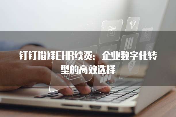钉钉橙蜂EHR续费:企业数字化转型的高效选择