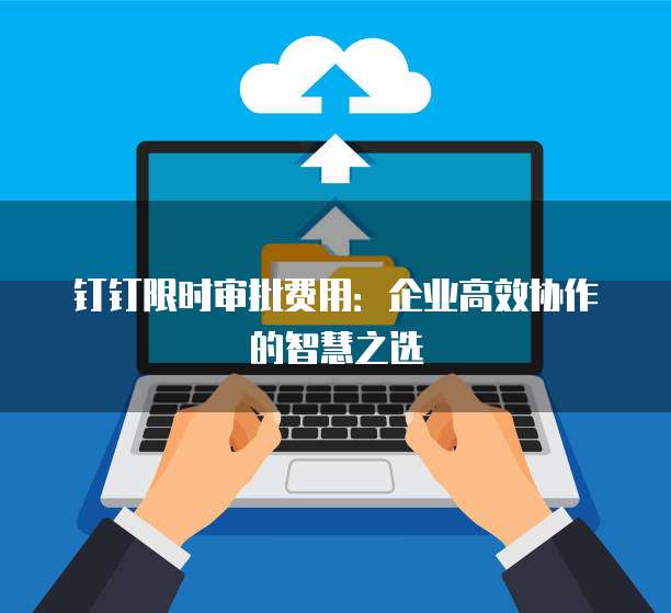 钉钉限时审批费用:企业高效协作的智慧之选