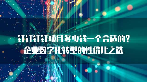 钉钉钉钉项目多少钱一个合适的?企业数字化转型的性价比之选