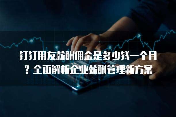 钉钉用友薪酬佣金是多少钱一个月？全面解析企业薪酬管理新方案