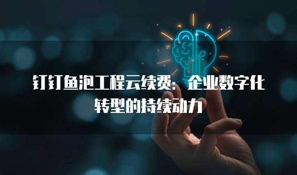钉钉鱼泡工程云续费:企业数字化转型的持续动力