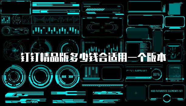 钉钉精品版多少钱合适用一个版本