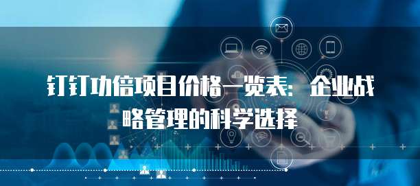 钉钉功倍项目价格一览表:企业战略管理的科学选择