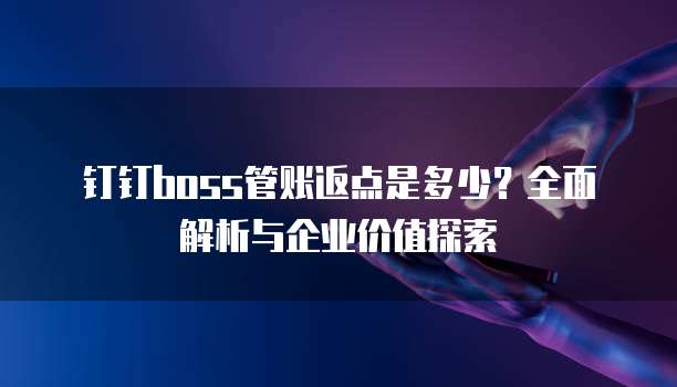钉钉boss管账返点是多少?全面解析与企业价值探索