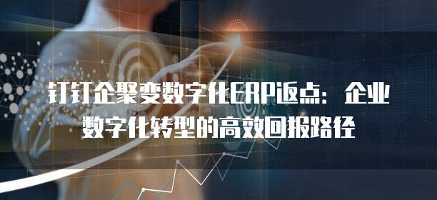 钉钉企聚变数字化ERP返点:企业数字化转型的高效回报路径