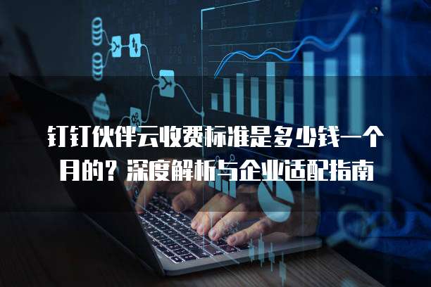 钉钉伙伴云收费标准是多少钱一个月的?深度解析与企业适配指南