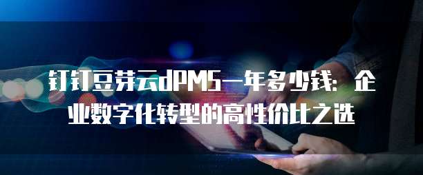 钉钉豆芽云dPMS一年多少钱:企业数字化转型的高性价比之选