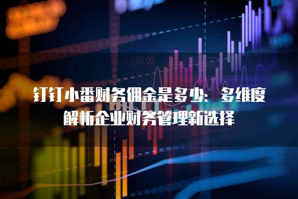 钉钉小番财务佣金是多少：多维度解析企业财务管理新选择