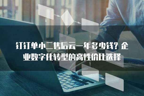 钉钉单小二售后云一年多少钱？企业数字化转型的高性价比选择