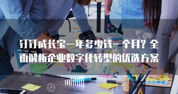 钉钉成长宝一年多少钱一个月?全面解析企业数字化转型的优选方案