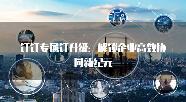 钉钉专属钉升级：解锁企业高效协同新纪元