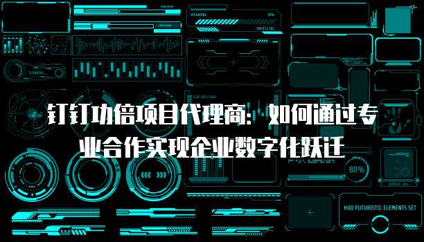 钉钉功倍项目代理商:如何通过专业合作实现企业数字化跃迁