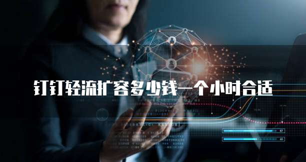 钉钉轻流扩容多少钱一个小时合适