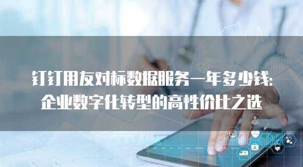 钉钉用友对标数据服务一年多少钱:企业数字化转型的高性价比之选