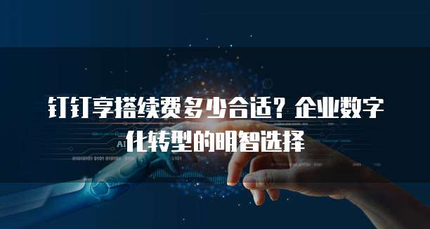 钉钉享搭续费多少合适？企业数字化转型的明智选择
