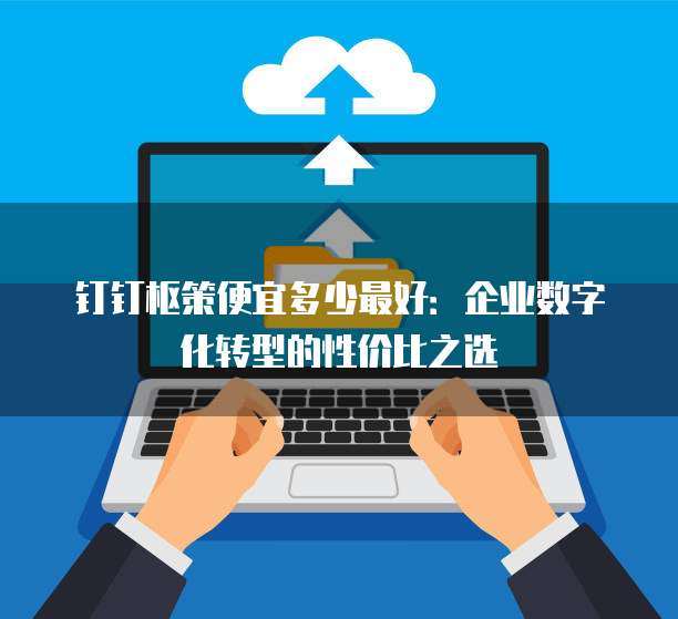 钉钉枢策便宜多少最好:企业数字化转型的性价比之选
