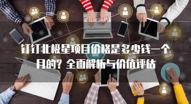 钉钉北极星项目价格是多少钱一个月的?全面解析与价值评估