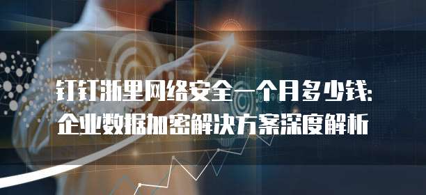 钉钉浙里网络安全一个月多少钱:企业数据加密解决方案深度解析