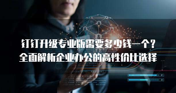 钉钉升级专业版需要多少钱一个?全面解析企业办公的高性价比选择