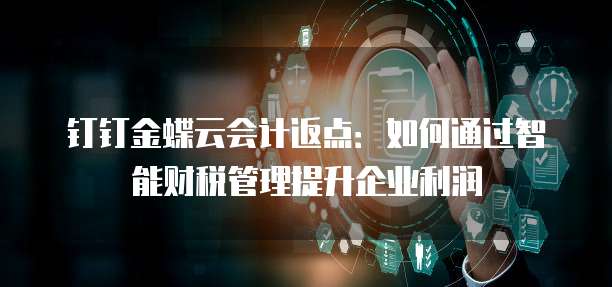 钉钉金蝶云会计返点:如何通过智能财税管理提升企业利润