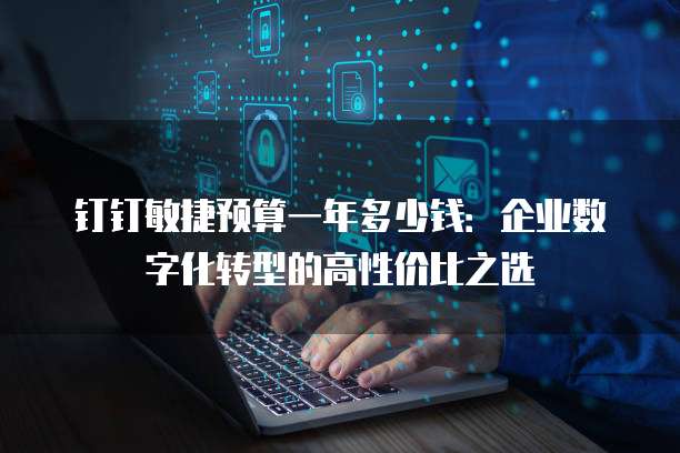 钉钉敏捷预算一年多少钱:企业数字化转型的高性价比之选