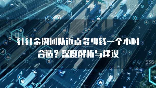 钉钉金牌团队返点多少钱一个小时合适？深度解析与建议
