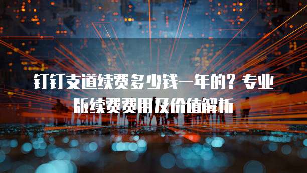 钉钉支道续费多少钱一年的?专业版续费费用及价值解析