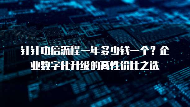 钉钉功倍流程一年多少钱一个?企业数字化升级的高性价比之选