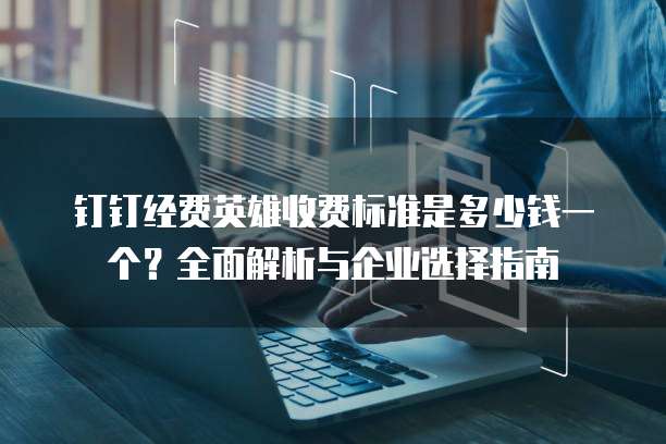 钉钉经费英雄收费标准是多少钱一个?全面解析与企业选择指南
