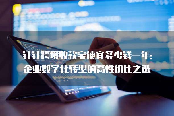 钉钉跨境收款宝便宜多少钱一年:企业数字化转型的高性价比之选
