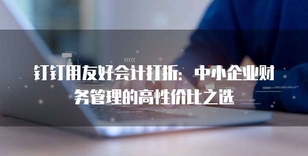 钉钉用友好会计打折:中小企业财务管理的高性价比之选