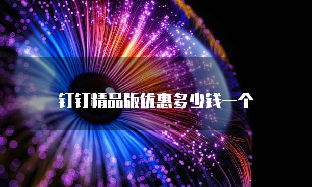 钉钉精品版优惠多少钱一个