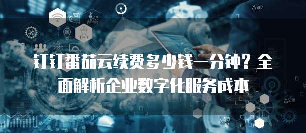 钉钉番茄云续费多少钱一分钟?全面解析企业数字化服务成本