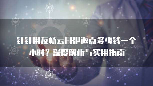 钉钉用友畅云ERP返点多少钱一个小时?深度解析与实用指南